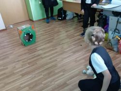 IMG 20241217 WA0004